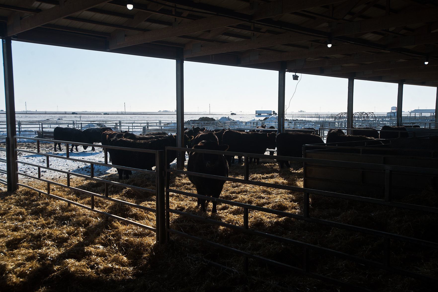 013119-blm-loc-8cold-farm